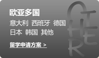 欧亚多国:意大利  西班牙  德国日本  韩国  其他